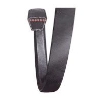 Super_Blue_Ribbon_Cutaway