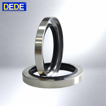 DEDE-PTFE-Stainless-oil-Seal-Suppliers