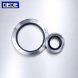 020*032*8 сальник  PTFE  CDL